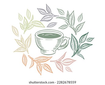 Green Tea Cup, hand drawn, drawing isolated on white