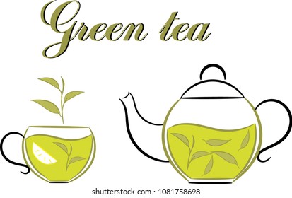 Green tea cup and tea pot, fresh leaves, sketch vector illustration isolated on white background. Hand drawn green tea drink in transparent glass and china cup, fresh and dry leaves-sketch 