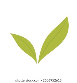 Vetor de rabiscar chá verde. Vetor de rabiscar chá verde. Matcha.
