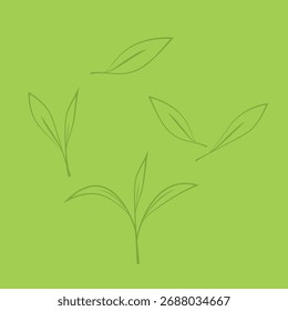 Vector doodle de té verde. Vector doodle de té verde. Matcha.