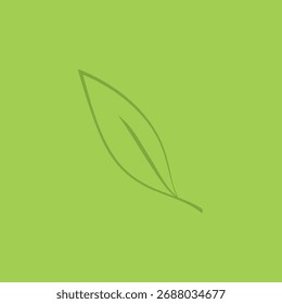 Vector doodle de té verde. Vector doodle de té verde. Matcha.