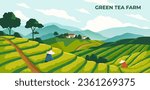 Green tea farm poster. Chinese or Korean field with plantation. Horizontal banner with natural landscape and worker or farmer. Agriculture, village and harvest season. Cartoon flat vector illustration