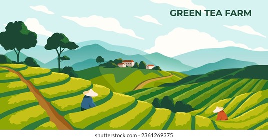 Green tea farm poster. Chinese or Korean field with plantation. Horizontal banner with natural landscape and worker or farmer. Agriculture, village and harvest season. Cartoon flat vector illustration