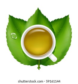 Green Tea With Fresh Green Leaves, Isolated On White Background, Vector Illustration