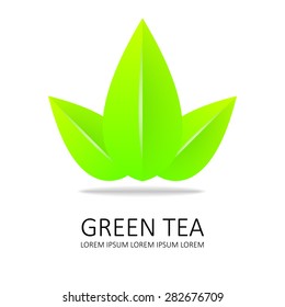 green tea icon. leaf vector. white background