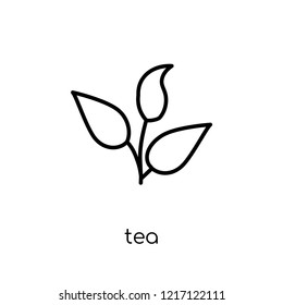 Green tea icon. Trendy modern flat linear vector Green tea icon on white background from thin line nature collection, editable outline stroke vector illustration