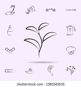 Green tea icon. Universal set of tea for website design and development, app development