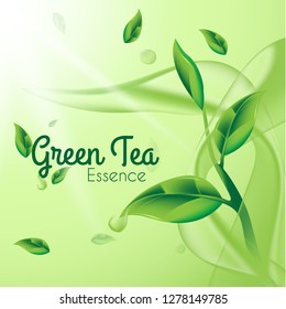 Green Tea Illustration, Tea Splash Background, Realistic 3d Green Tea With Leaves