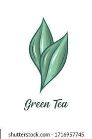 Ilustración dibujada a mano con la etiqueta de té verde.Hojas verdes de té aisladas en fondo blanco.