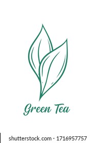Green tea label hand drawn illustration. Green tea leaf isolated on white background.