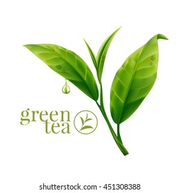 Green tea leaf 