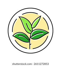 green tea leaf cosmetic plant color icon vector. green tea leaf cosmetic plant sign. isolated symbol illustration