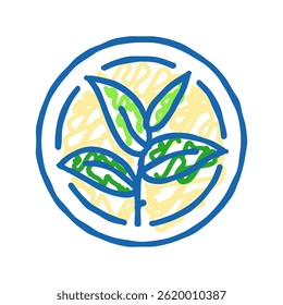green tea leaf cosmetic plant doodle icon sketch vector. green tea leaf cosmetic plant sign. isolated symbol illustration