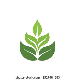 green Tea leaf ecology nature element vector