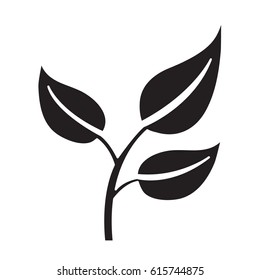 green tea leaf icon , flat black color