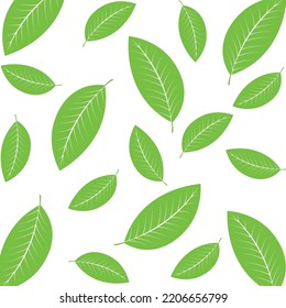 Green tea leaf icon template vector
