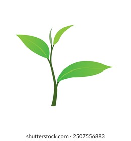 green tea leaf icon vector illustration design template