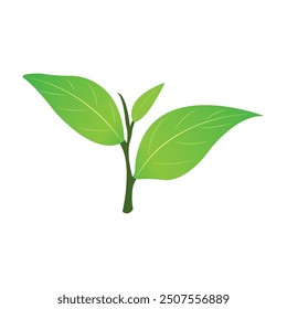 green tea leaf icon vector illustration design template