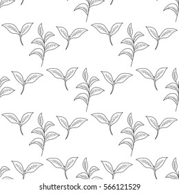Green tea leaf illustration, branch organic hand drawing sketch, seamless pattern