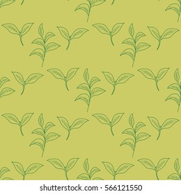 Green tea leaf illustration, branch organic hand drawing sketch, seamless pattern