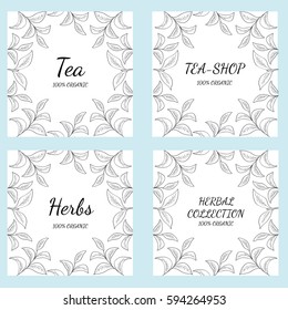 Green tea leaf illustration, branch organic hand drawing sketch, 4 square banner template for packing cosmetics, packaging, branding, etc