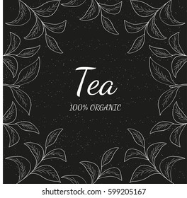 Green tea leaf illustration, branch organic hand drawing sketch, square banner template for packing cosmetics, packaging, branding, etc