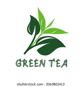 
green tea leaf logo, can be used as a business or can also be used as a food or beverage logo
