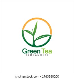 Green tea leaf logo vector icon illustration design isolated on white background-vector image