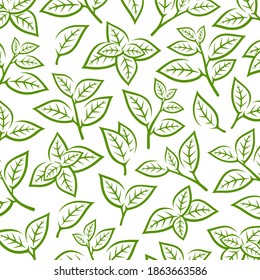 Green tea leaf pattern background. Collection green tea leaf icons. Vector