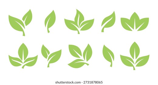 Té verde Diseño de Ilustración vectorial de icono de brote de hoja