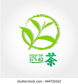 green tea leaf vector