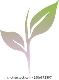 Green Tea Leaf Vector in Summer 