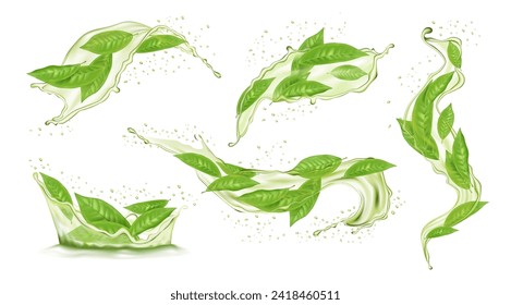 Green tea. Leaf in water splash, 3d tree and liquid in motion with drops, realistic swirl and splatter, nature flow. Morning herbal drink. Botanical foliage twig. Hot beverage. Vector isolated design