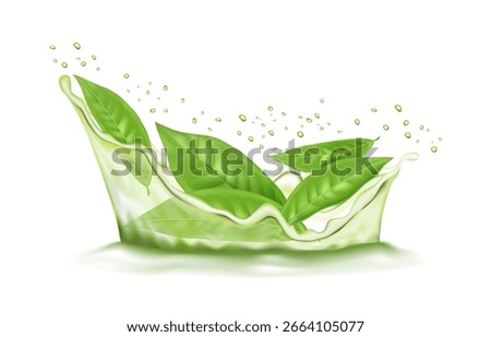 Green tea. Leaf in water splash, 3d tree and liquid in motion with drops, realistic swirl and splatter, nature flow. Morning herbal drink. Botanical foliage twig. Hot beverage. Vector isolated design