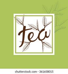 Green tea leaves