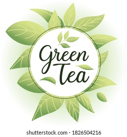 Green tea with leaves around circle design, drink breakfast beverage hot porcelain ceramic english and invitation theme Vector illustration