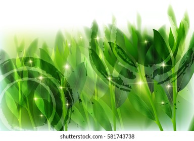 Green tea leaves background