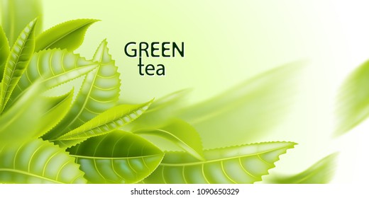Green tea. Tea leaves background. Element for design, advertising, packaging of tea products. Vector illustration.