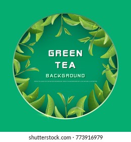 Green tea leaves banner nature background. Green tea background with leaf natural illustration.