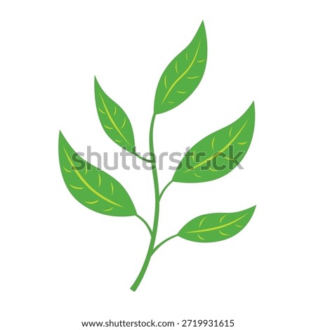 Green tea leaves branch flat illustration isolated vector