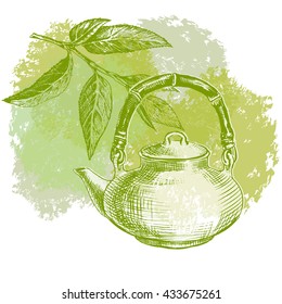 Green tea leaves and branch or sprig, bamboo handle teapot with tea. Green background. Hand drawing vector illustration.