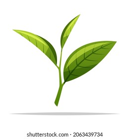 tea plant clipart