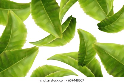green tea leaves, can be used as design elements white background 3d illustration