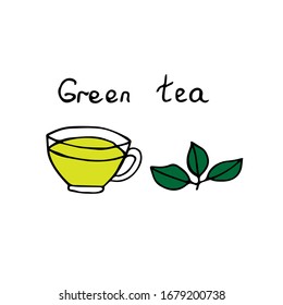 Green tea, сup and tea leaves, color vector illustration, hand drawing
