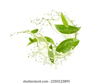 Green tea leaves with drink splash drops. Herbal water wave. Vector refreshing and invigorating dynamic movement of organic beverage flow. 3d realistic green aqua splatters and fresh natural foliage