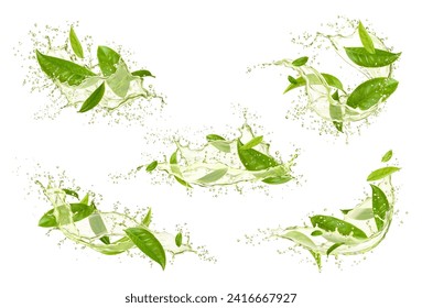 Hojas verdes de té con saltos y gotas de onda de bebida, bebida vectorial matcha. 3 d salpicaduras transparentes, flujo redondo y remolinos conjunto de té natural de hierbas con hojas verdes frescas, gotitas y burbujas