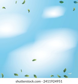 Green Tea Leaves Falling Confetti on Blue Ske Background. Olive Herb Foliage Mockup Poster. Eco Organic Beauty Product Border. Tea Frame. 3d Realistic Mint Plant Illustration. Spring Natural Banner