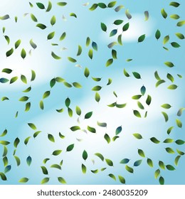 Green Tea Leaves Falling Confetti on Blue Ske Background. Eco Organic Beauty Product Border. Olive Herb Foliage Mockup Poster. Spring Natural Banner Tea Frame. 3d Realistic Mint Plant Illustration.