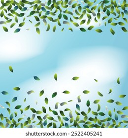 Chá Verde deixa confetes caindo em fundo azul Ske. Eco Beleza orgânica produto fronteira. Moldura de chá de banner natural de primavera. Ilustração realista da planta da casa da moeda 3d. Pôster de bolinho de folhagem de oliveira.