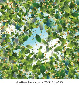 Green Tea Leaves Falling Confetti on Blue Ske Background. 3d Realistic Mint Plant Illustration. Olive Herb Foliage Mockup Poster. Spring Natural Banner Eco Organic Beauty Product Border. Tea Frame.